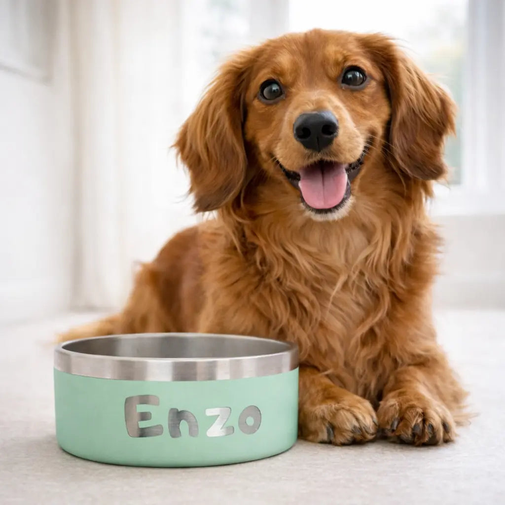Gamelle personnalisée pour chien et chat menthe Nelly et Cie inc.
