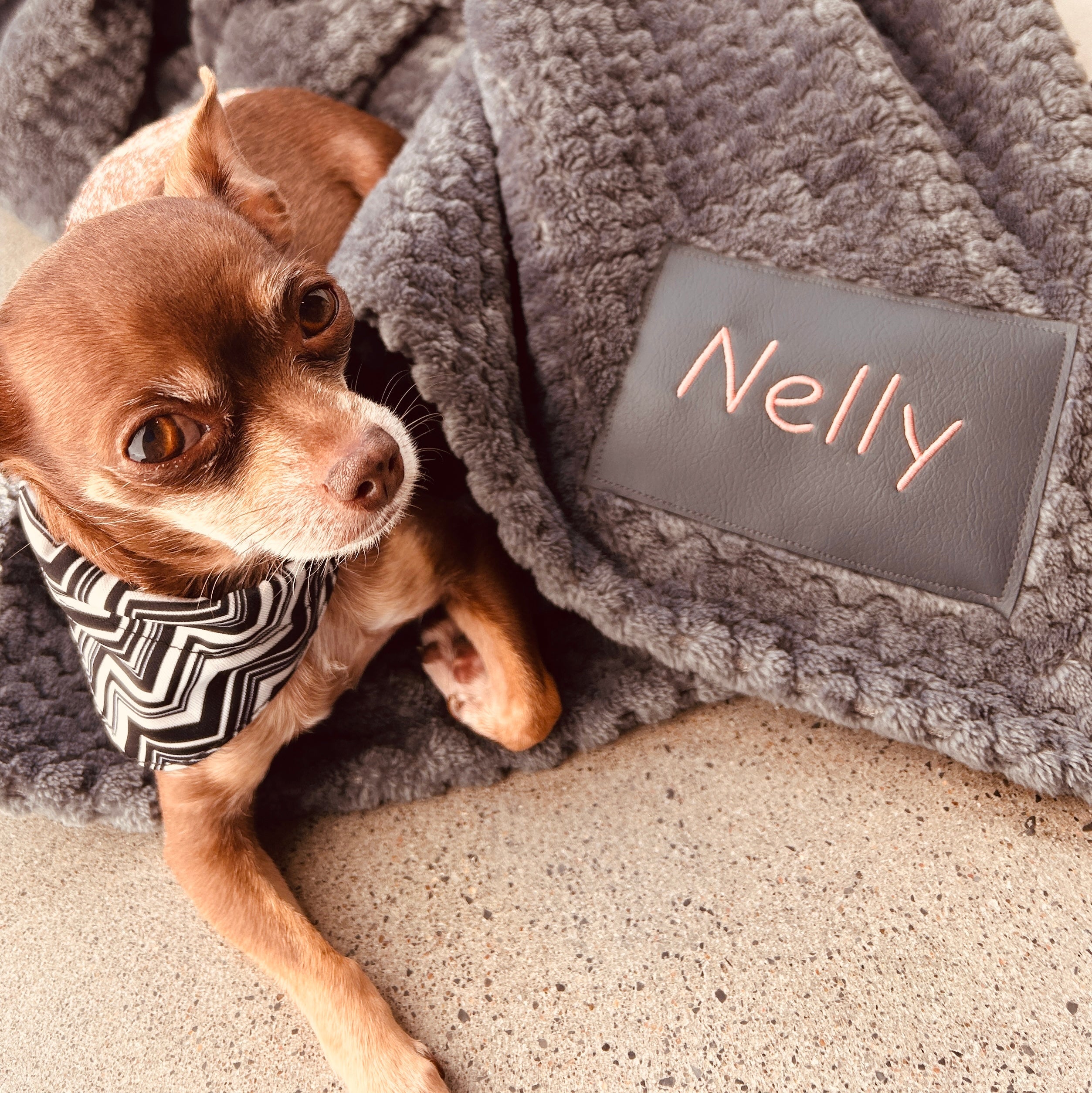 couverture imperméable personnalisée pour chiens et chats