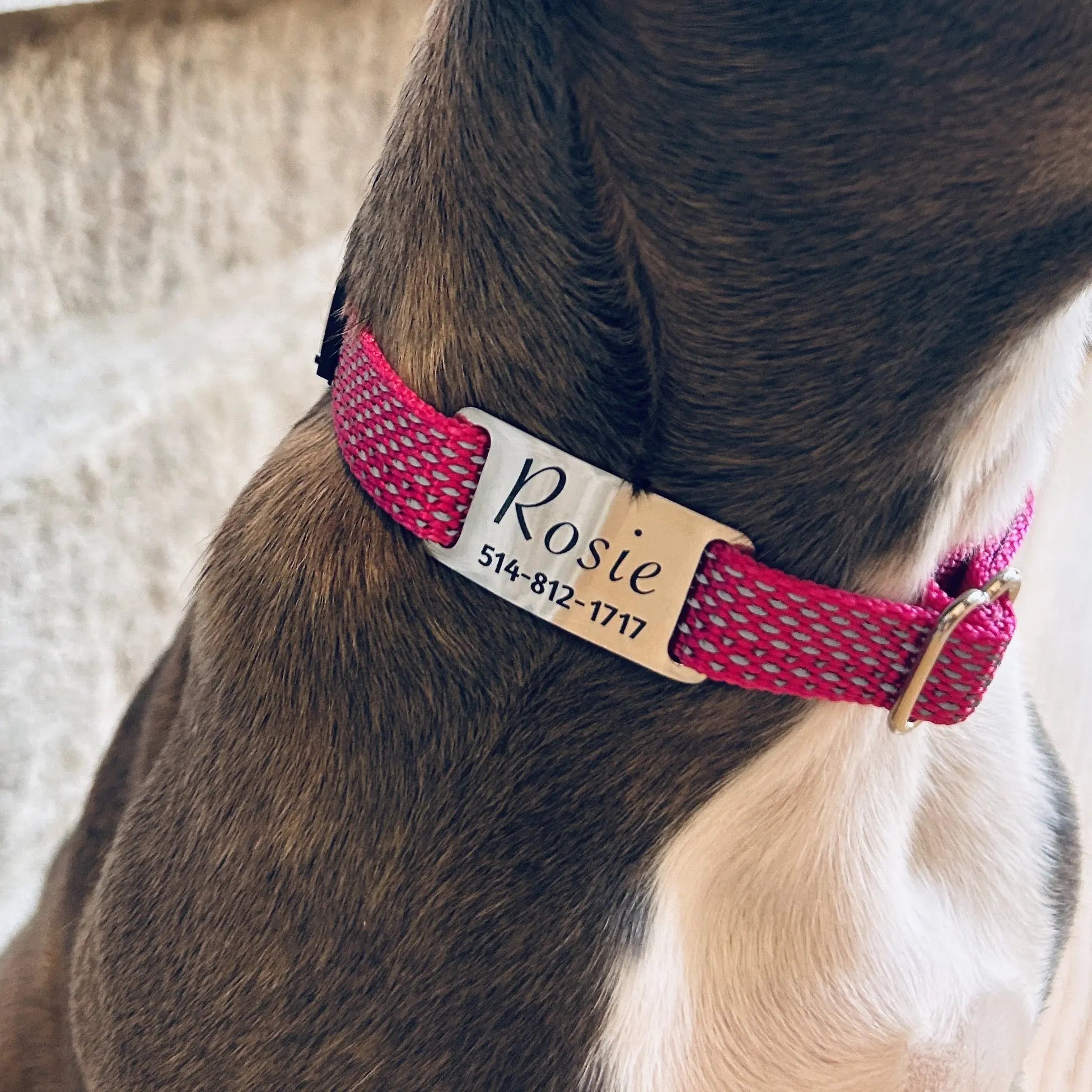 Médaille personnalisée pour animaux de compagnie Nelly et Cie inc.