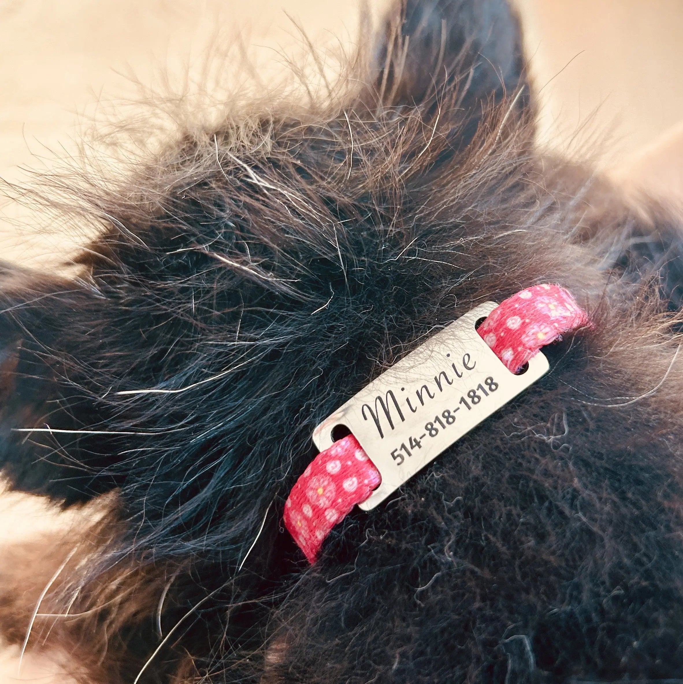 Médaille personnalisée pour animaux de compagnie Nelly et Cie inc.