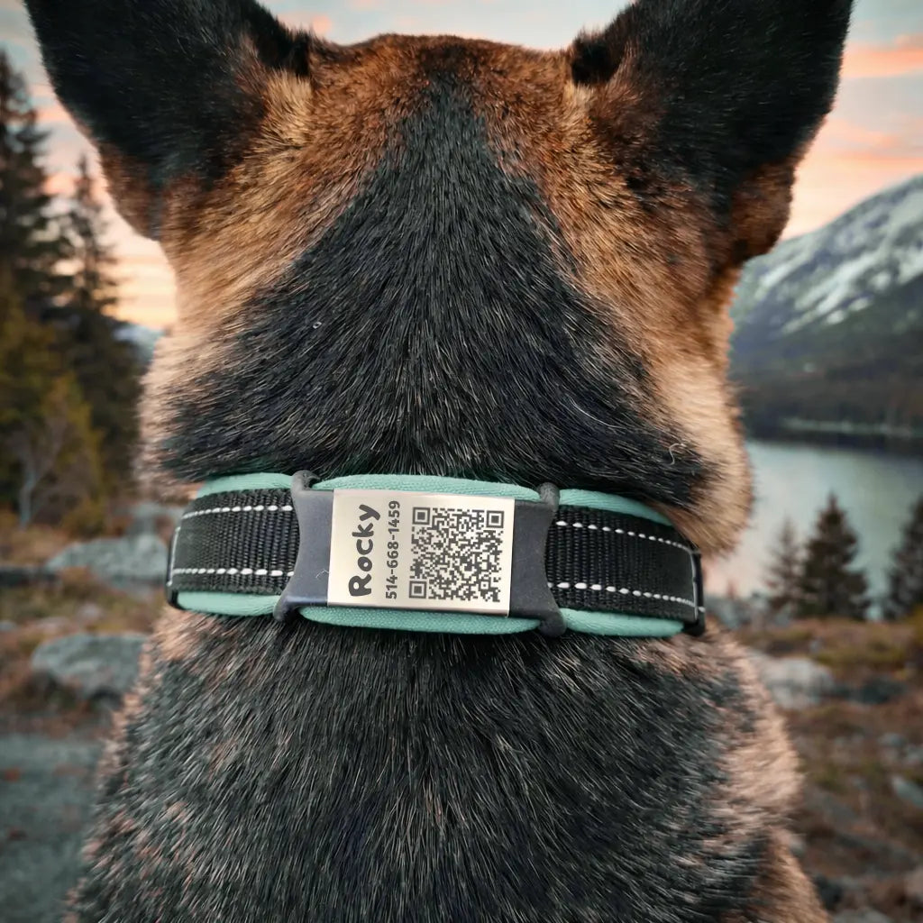 Médaille intelligente avec code QR et fiche électronique Nelly et Cie inc.