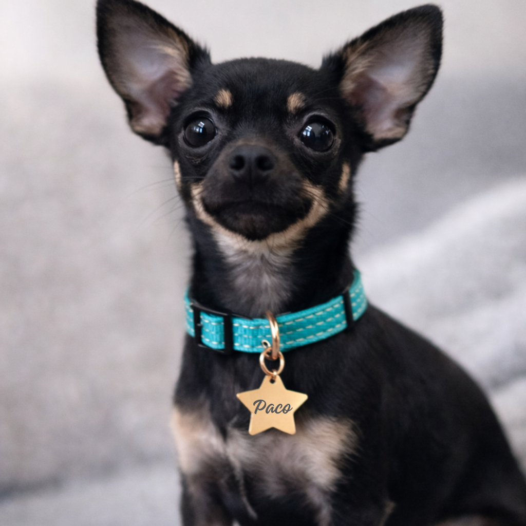 Médaille étoile personnalisée