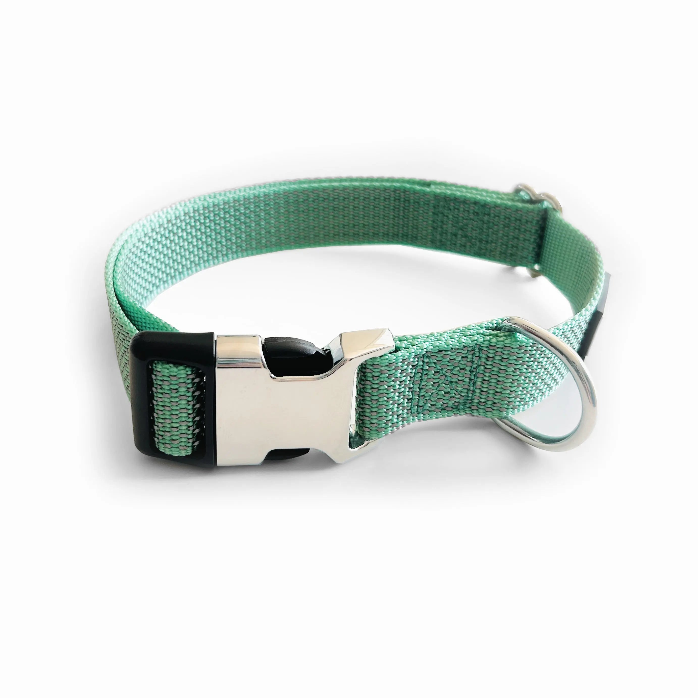 Collier chien réfléchissant turquoise Nelly et Cie inc.