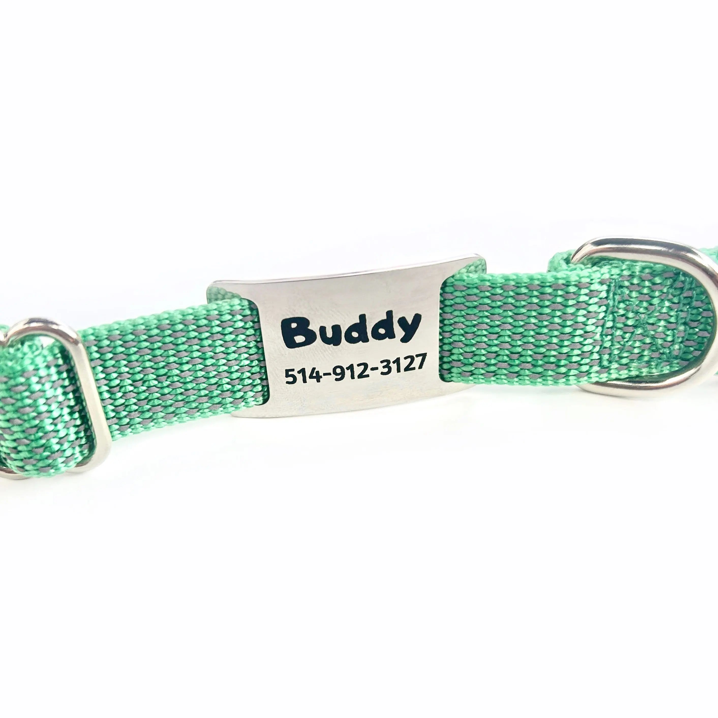 Médaille personnalisée pour animaux de compagnie Nelly et Cie inc.