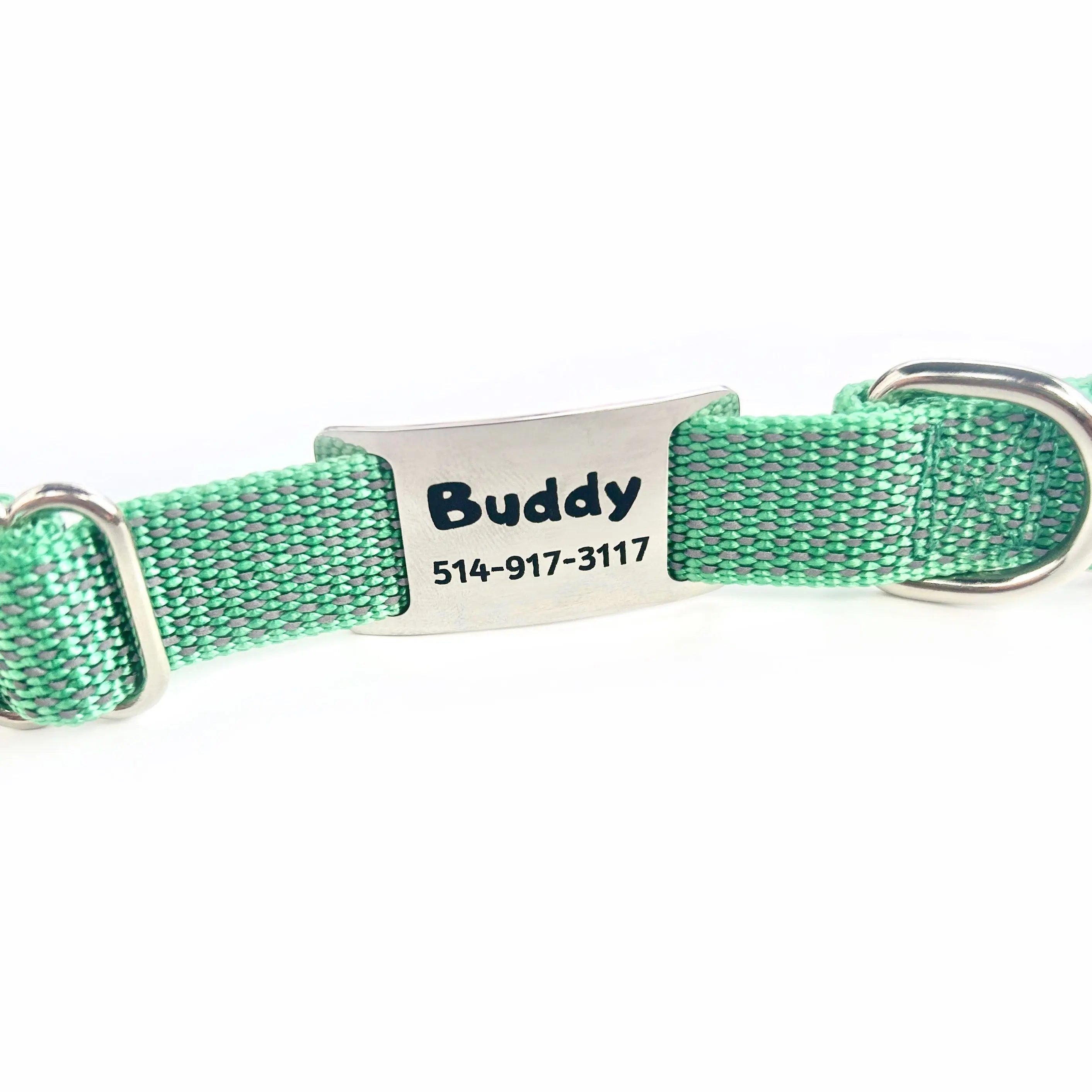 Médaille personnalisée pour animaux de compagnie Nelly et Cie inc.