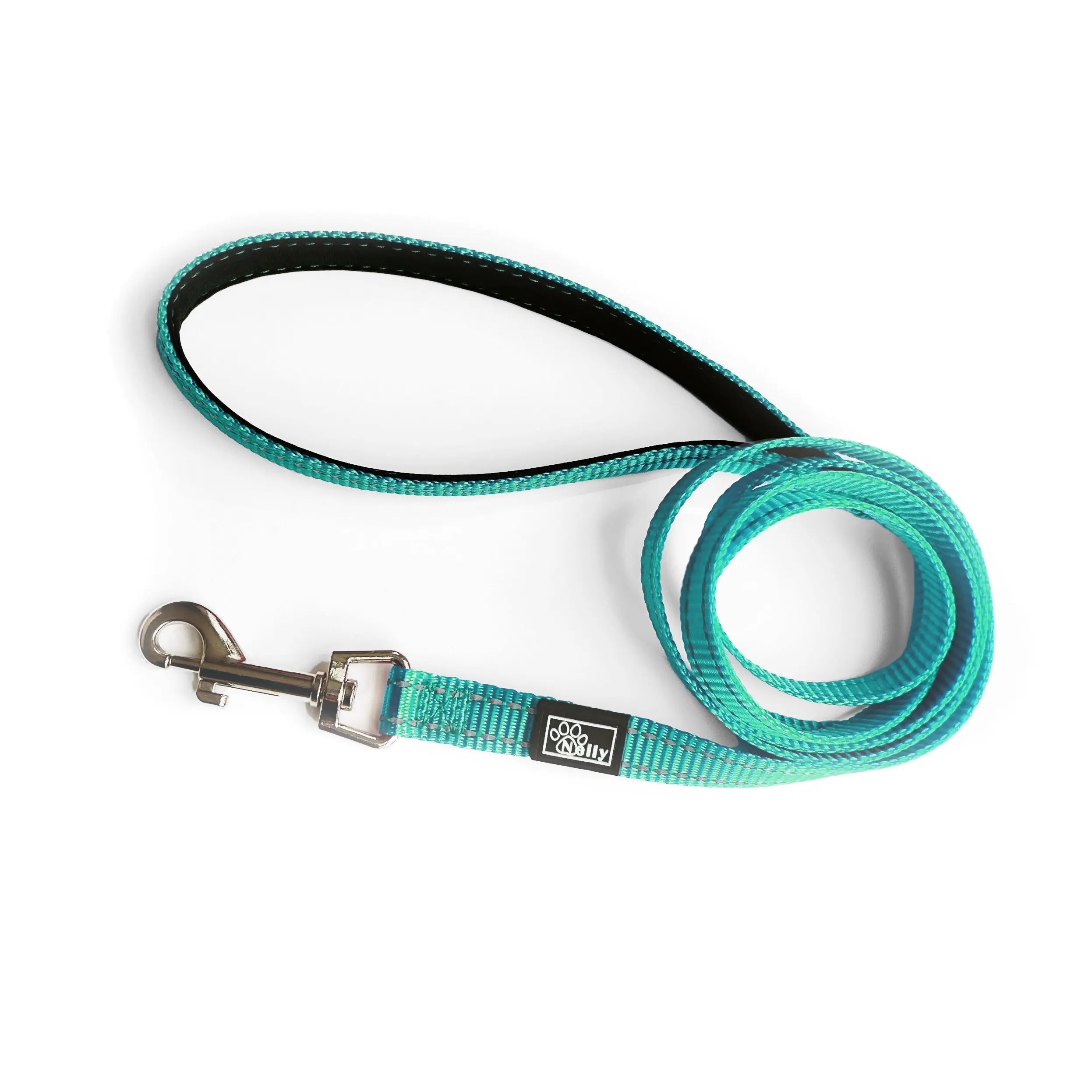 Laisse réfléchissante petite cyan Nelly et Cie inc.
