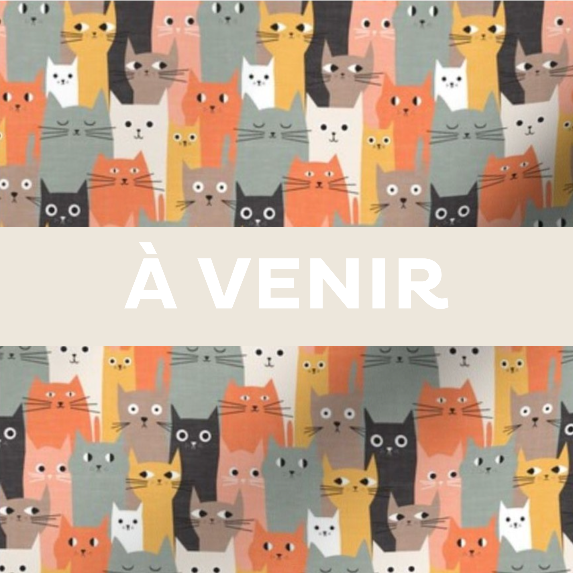 Protège carnet vétérinaire personnalisé Lolikö Chat multi