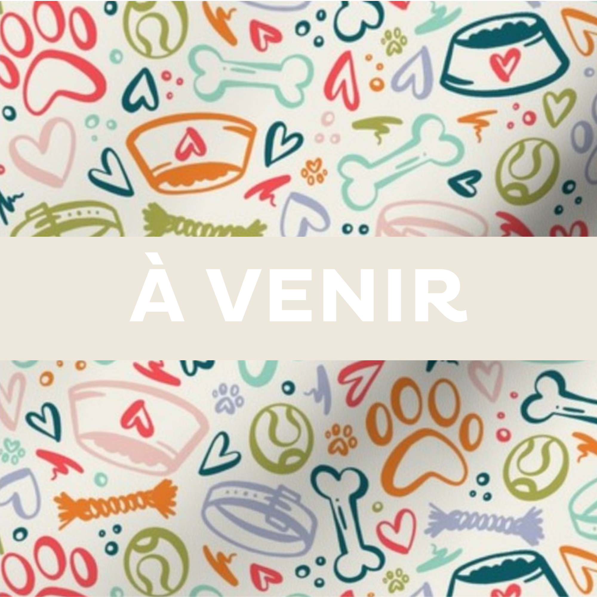 Protège carnet vétérinaire personnalisé Lolikö Accessoire chien