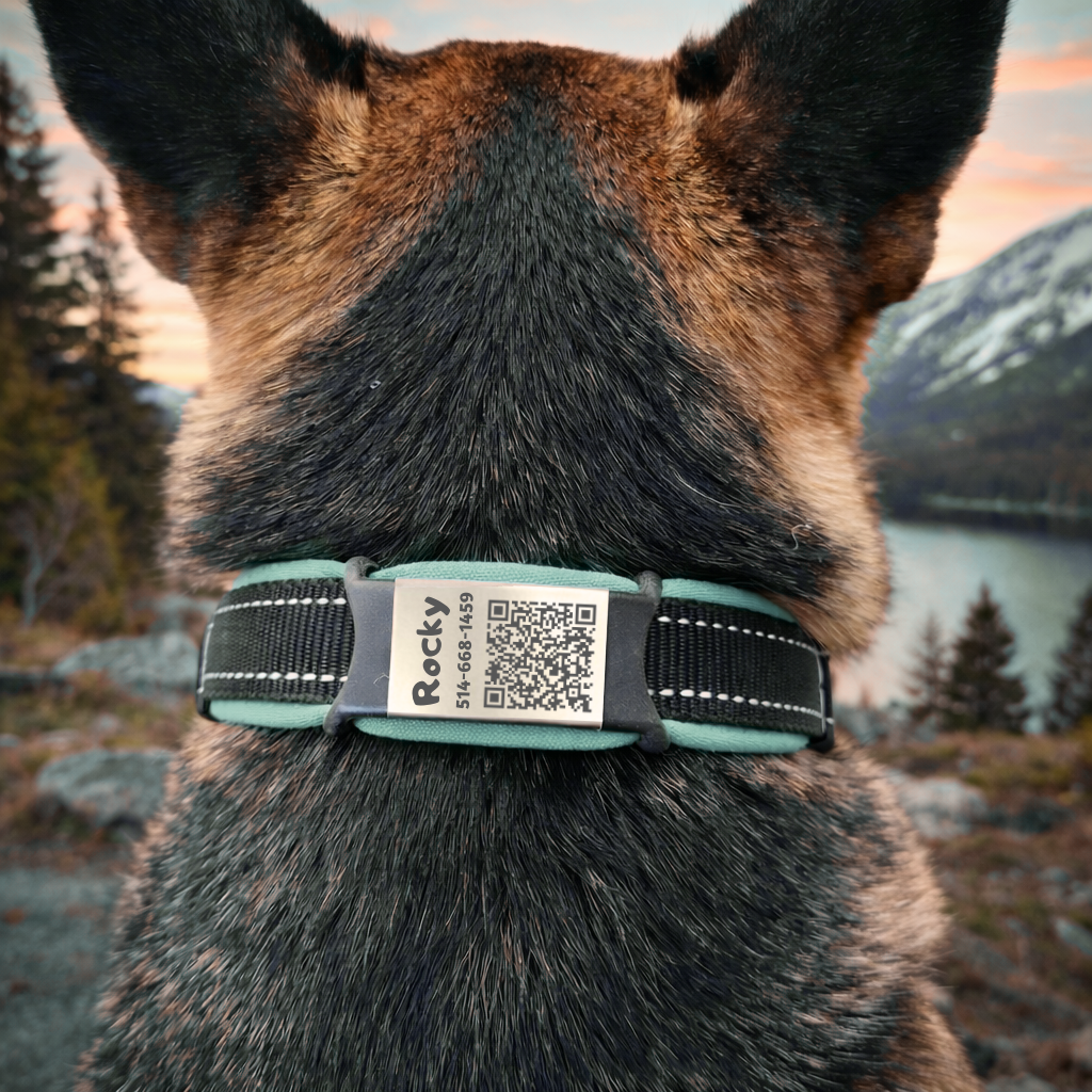 Médaille intelligente avec code QR et fiche électronique