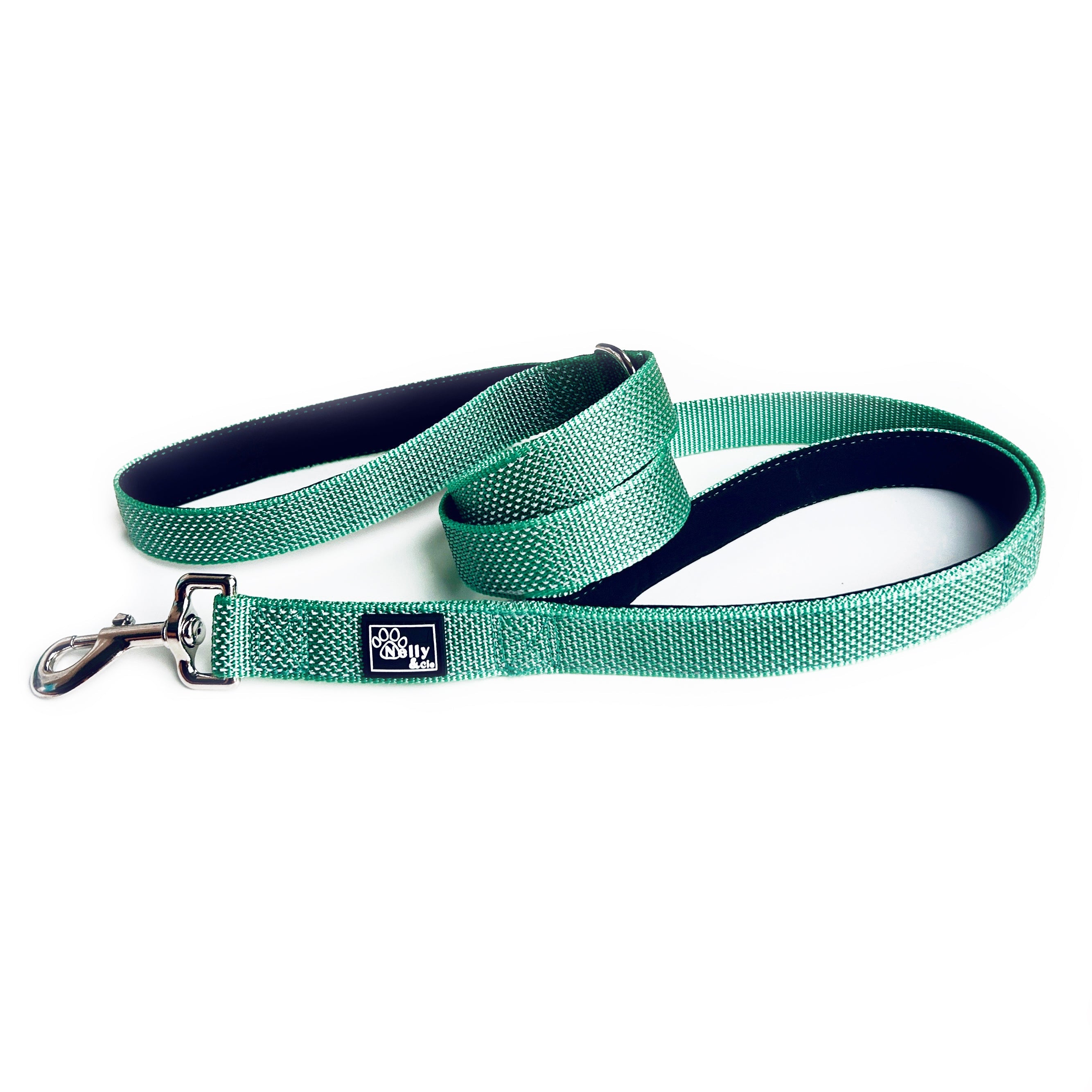 Laisse réfléchissante double poignée turquoise